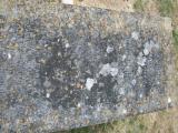 image of grave number 795741